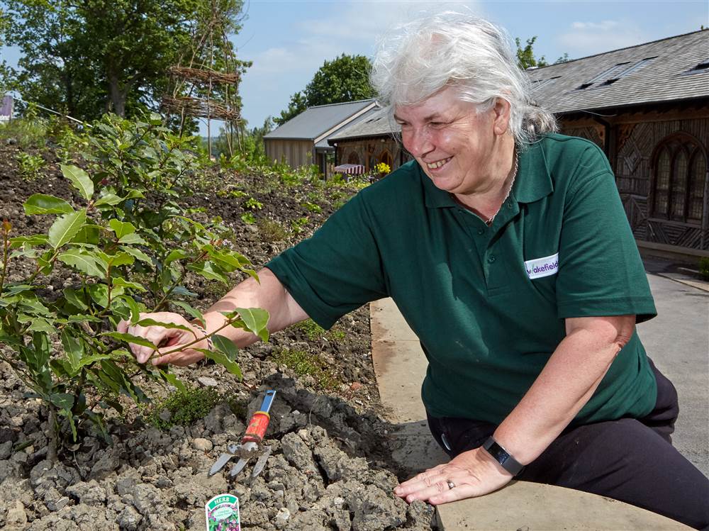 Gardening Volunteer