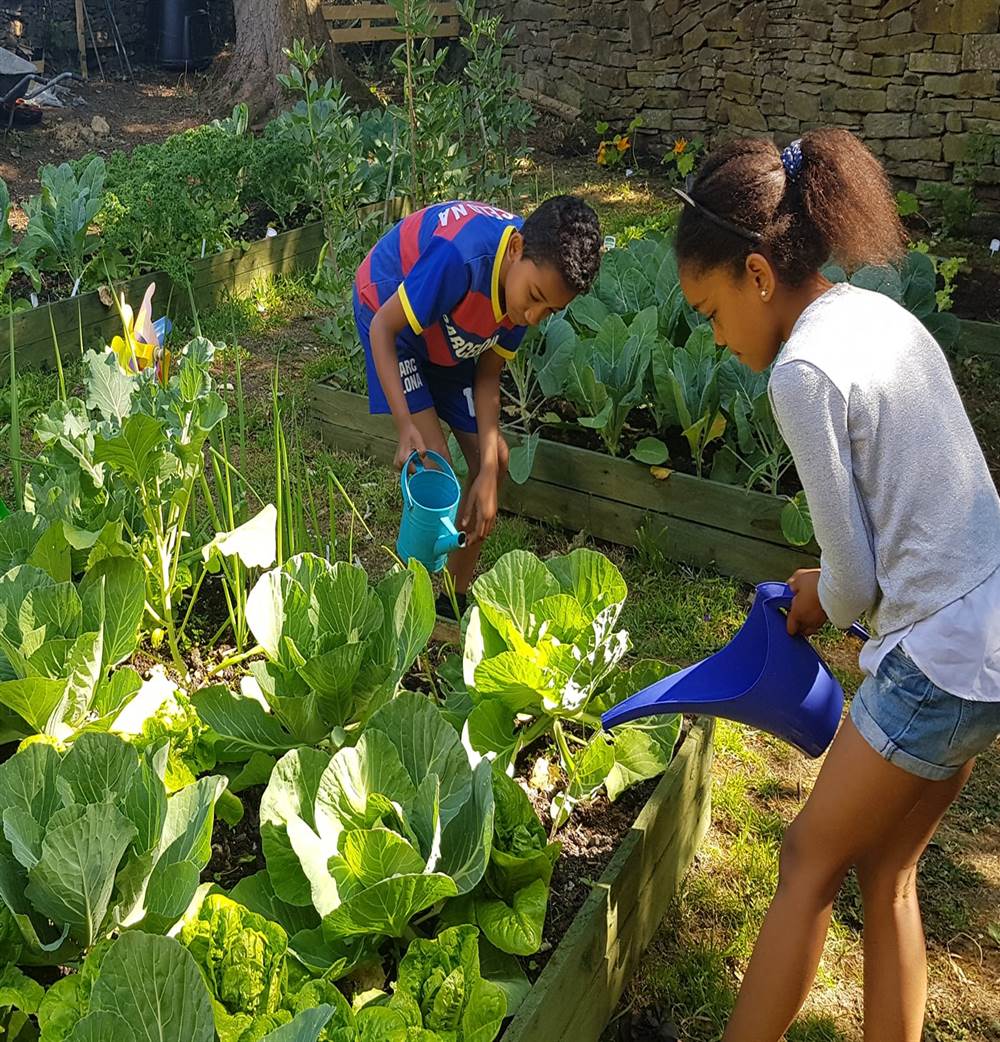 Community Garden